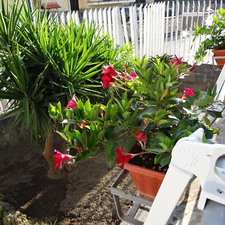 White Lady B&B Pompeia Exterior foto